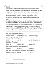 Pinguin.pdf